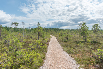 Obraz premium moor mukri estonia