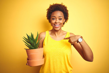 Young african american woman holding cactus pot over isolated yellow background with surprise face pointing finger to himself