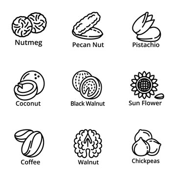 Vegan nuts icon set. Outline set of 9 vegan nuts vector icons for web design isolated on white background