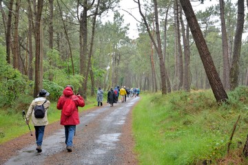 Obraz premium Randonneurs dans le Trégor. Bretagne