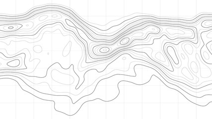 Topography map background. Vector geographic contour map.
