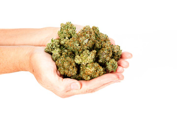 Naklejka na ściany i meble hands on cannabis