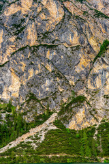 Nadelbäume wachsen am Steilhang eines Berges