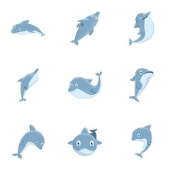 Happy dolphin icon set. Cartoon set of 9 happy dolphin vector icons for web design isolated on white background