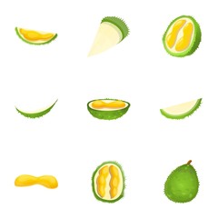 Organic durian icon set. Cartoon set of 9 organic durian vector icons for web design isolated on white background