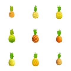 Organic pineapple icon set. Cartoon set of 9 organic pineapple vector icons for web design isolated on white background