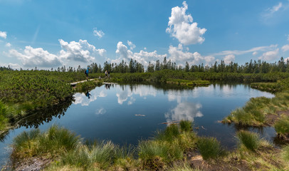 Clouds reflecting in the Lovrenc lakes (Lovrenšla jezera) in the mountain marshlands near Rogla, Slovenia
