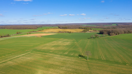 Campagne &agrave; proxmit&eacute; de Cuncy-les-Varzy