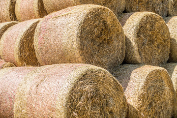 Strohrollen gestapelt auf Anhänger