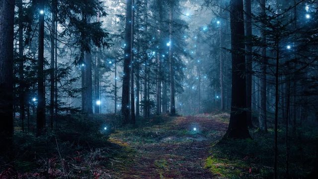 Mystical dark foggy forest path with magic flying fireflies. Fairy tale.