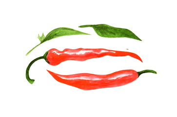 Hand-drawn flower watercolor illustration. Set of red hot pepper pod and leaves isolated on white background. Illustration for design, card, background 