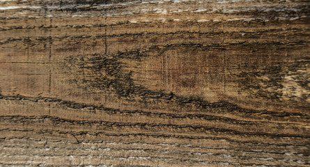 Brown wooden ligneous texture background