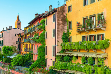 Colorful buildings with green balcony on the old street in Verona, Veneto region, Italy