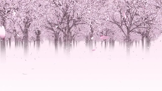桜の森を進む_ループ_1