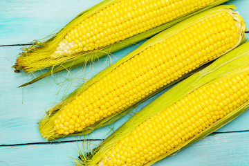 Fresh raw corn on cobs