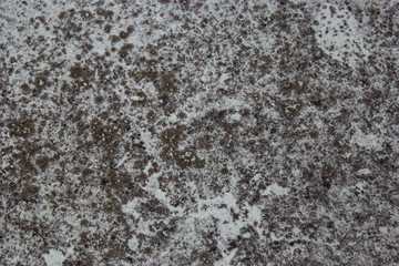 Obraz premium Abstract Grunge Texture