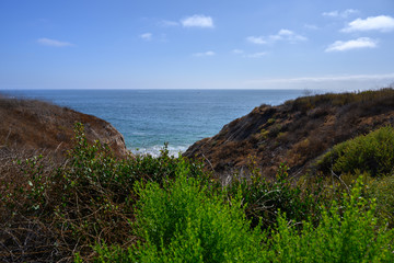 Fototapeta na wymiar Newport Beach view of the ocean from a mountain trail in South California in a summer beautiful blue day