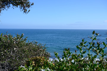 Newport Beach view of the ocean from a mountain trail in South California in a summer beautiful blue day