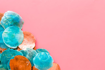 Shells for blog design on pink background top view space for text