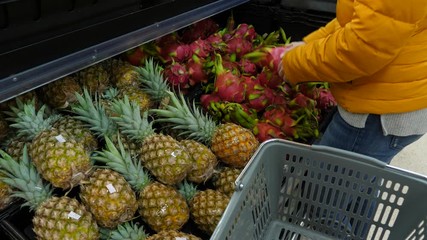 Woman choosing and take one dragon fruit, then pick up small pineapple and put in shopping basket. Lady take fresh tropical fruits at large supermarket