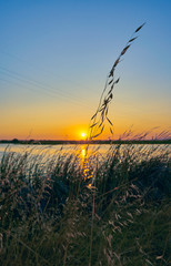 Fototapeta premium Sunset in a landscape with lake, trees and light towers. Estremadura. SpainSunset in a landscape with lake, trees and light towers. Extremadura. Spain