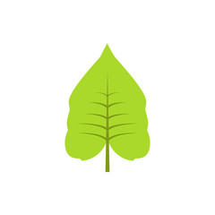 Autumn leave, green icon. Element of color autumn flora icon