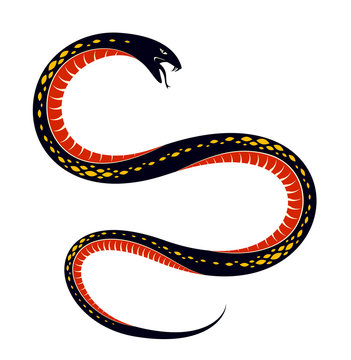 Venomous snake vintage tattoo, vector drawing of aggressive predator reptile, deadly poisoned serpent symbol, vintage style illustration.