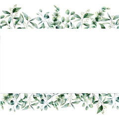 Watercolor eucalyptus seamless banner. Hand painted eucalyptus branch and leaves isolated on white background. Floral illustration for design, print, fabric or background. © yuliya_derbisheva