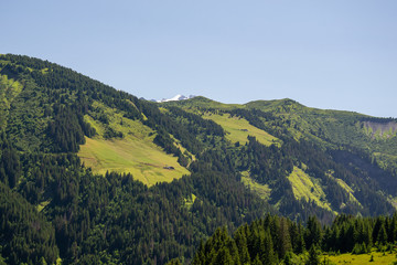 Fototapeta na wymiar Vue sur Montagne des Alpes, savoie