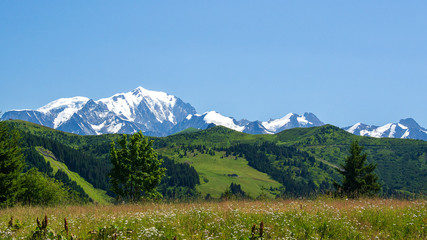 Naklejka premium Mont-blanc