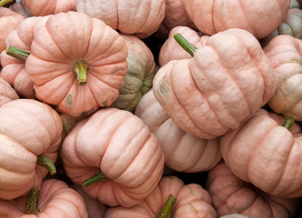 Colorful gourds and pumpkins on display for sale in supermarket.