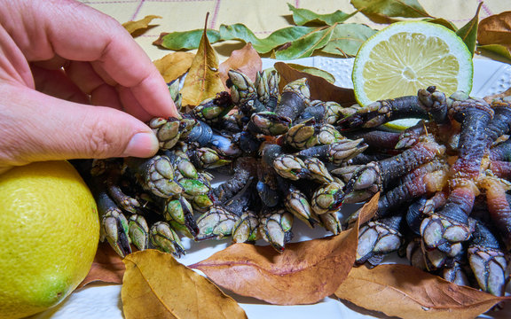 Freshly picked and ready to eat fish