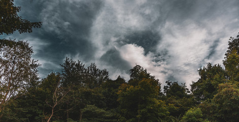 Sky