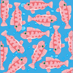 Vector illustration of the decorative pattern of the sea perch