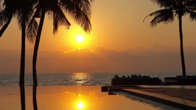 Beautiful holiday infinity pool overlooking ocean at sunset with palm trees