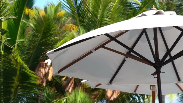 White parasols blowing in the wind, close up