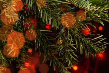 Obraz na płótnie Canvas Christmas composition, branches of a Christmas tree on a dark background with lights
