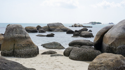 Fototapeta na wymiar Giant rocks with small shells on the beach