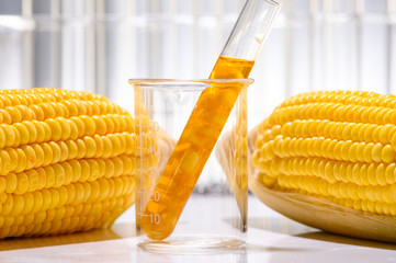 the natural product extract, oil and biofuel solution, in the chemistry laboratory