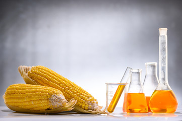 Biofuel from corn, oil and biofuel solution.