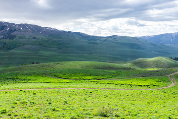 Obraz premium Crested Butte, Colorado alpine meadows on Snodgrass hiking trail in summer on cloudy day with green grass and mountain view
