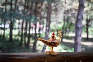 Antique artisanal Aladdin Arabian nights genie style oil lamp at the forest. Lamp of wishes fantasy...