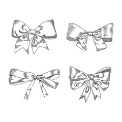 Bow sketch isolation on a white background, vector illustration.