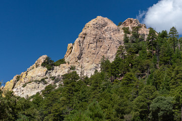 Fototapeta na wymiar Majestic Cliff on Mount Lemmon in Tucson, AZ