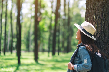 An asian female traveler with a hat and backpack looking into a beautiful pine woods