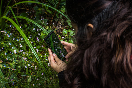 young woman taking pictures in the forest