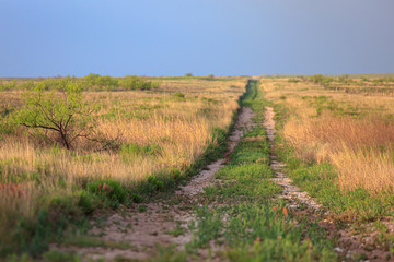 Fototapeta na wymiar Lonesome Path