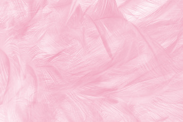 Beautiful soft pink vintage color trends wool feather pattern texture background