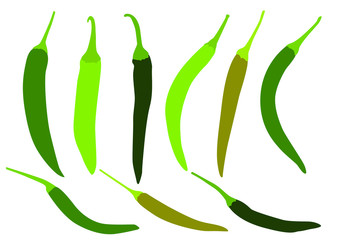 green chilli on white background illustration vector