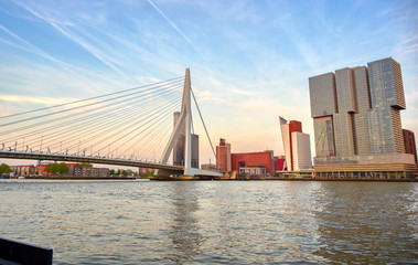 Obraz premium A view of the Erasmusbrug (Erasmus Bridge) which connects the north and south parts of Rotterdam, the Netherlands.